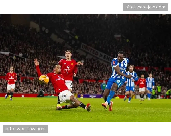 布莱顿欣谢尔伍德助攻维尔贝克，中场与锋线连线流畅